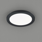 Потолочный LED-светильник Trio Reality Camillus R62921532 черный матовый