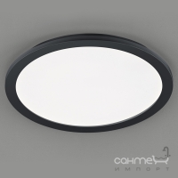 Потолочный LED-светильник Trio Reality Camillus R62922432 черный матовый