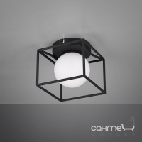 Настенный/потолочный светильник Trio Reality Gabbia R20401032 матовый черный/белое стекло