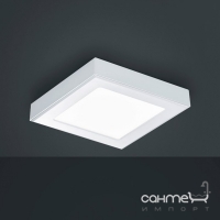 Потолочный LED-светильник Trio Rhea 625601831 матовый белый