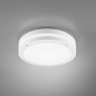 Потолочный LED-светильник Trio Reality Kendal R62151131 белый
