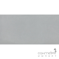 Плитка настінна Argenta Flow Grey Azulejo RC 30x60
