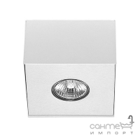 Точковий накладний світильник Nowodvorski Carson 5573 білий/сріблястий