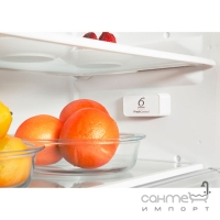 Встраиваемый двухкамерный холодильник с нижней морозильной камерой Whirlpool ART 9814 A+SF