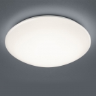 Потолочный LED-светильник с дистанционным управлением Trio Reality Lukida R62961001 белый