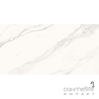 Підлоговий керамограніт Cerama Market Superb Calacatta Grande 60x120