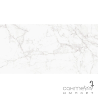 Настінна плитка Cerama Market Carrara Diamond 30x60