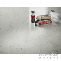 Керамогранит матовый 60x60 Atlas Concorde Marvel Stone Matt Cardoso Elegant Серый