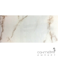Керамогранит универсальный Casa Ceramica Carrara 60x120