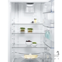 Окремий двокамерний холодильник із нижньою морозильною камерою Electrolux EN3889MFW білий