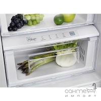 Окремий двокамерний холодильник з бічною морозильною камерою Electrolux EAL6140WOU сірий