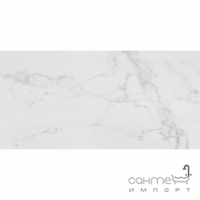 Плитка універсальна Porcelanosa Carrara Blanco Pul. 58.6x118.7