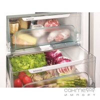 Двокамерний холодильник із зоною свіжості BioFresh та системою NoFrost Liebherr CBNbs 4835 чорний