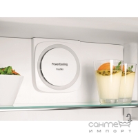Двокамерний холодильник із зоною свіжості BioFresh та системою NoFrost Liebherr CBNbs 4835 чорний