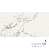 Универсальный керамогранит 60x120 Almera Ceramica GQW8321M Carrara Mat