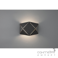 Настенный светильник для подсветки стен Trio Zandor 223510132 Черный Матовый