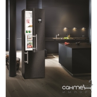 Двухкамерный холодильник с зоной свежести BioFresh и системой NoFrost Liebherr CBNbs 4878 черный металл