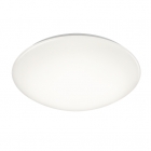 Светильник потолочный с защитой от брызг Reality Lights Putz R62601301 Белый Пластик 