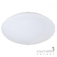 Светильник потолочный с защитой от брызг Reality Lights Putz II R62601201 Белый Пластик 