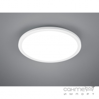 Светильник светодиодный потолочный Reality Lights Tiberius R62984001 Белый