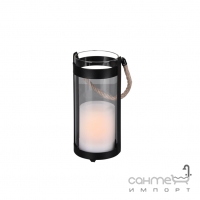 Декоративный светильник с эффектом мерцания пламени Reality Lights Minas R55146132 Черный