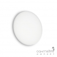 Светильник потолочный влагостойкий Ideal Lux Mib 202945 белый, опаловый белый, пластик, алюминий