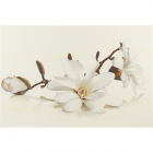 Настінна плитка декор Cersanit Flora Inserto Magnolia 30x45 (декор квіти)