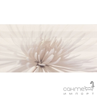Настінна плитка декор Opoczno AVANGARDE INSERTO FLOWER WHITE (квіти) 29,7*60