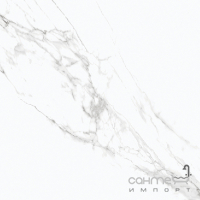 Універсальний керамограніт HomeTile Carrara Granito 60x60