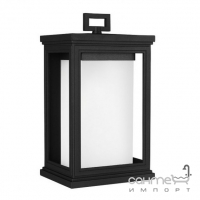 Вуличний настінний світильник Elstead Lighting Roscoe FE-ROSCOE-M