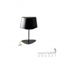 Настольная лампа декоративная Terra Svet Clod 053961/1 T