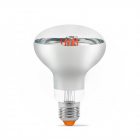 Світлодіодна лампа прозора для рослин Videx NeoClassic R80FF 9W E27 1200K 220V 340lm