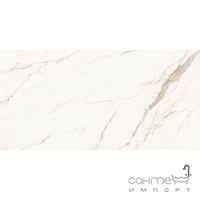Универсальный керамогранит Cerama Market Calacatta Gold 120x60