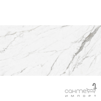 Универсальный керамогранит Cerama Market Calacatta Grey 120x60