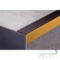 Захисний профіль для сходів із гумовою вставкою Profilpas Protect 75578 анодований алюміній, срібло