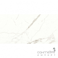 Керамограніт під мармур Almera Carrara Mat QP8320BMB