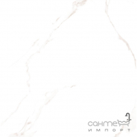 Матовий керамограніт під мармур Stevol Carrara GR 595x595