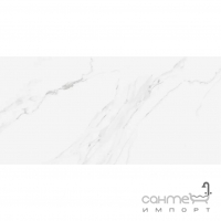 Керамогранит под мрамор Stevol Carrara Gris 1200x600