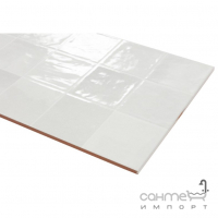 Настенная плитка под мозаику Ceramica Deseo Cool White 600x316