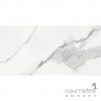Настенная плитка под мрамор Ceramika Color Statuario White Rett 600x300