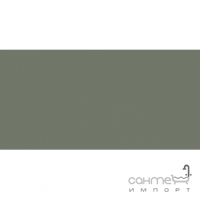 Настінна плитка моноколор Ceramika Konskie Olive Rett 600x300