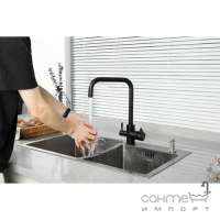 Змішувач для кухні з виливом для фільтрованої води Frap F43801-6 матовий чорний