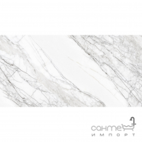 Керамогранит под мрамор Cerama Market Natural Carrara 1200x600