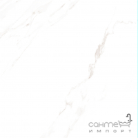 Матовий керамограніт під мармур Stevol Carrara GR 595x595