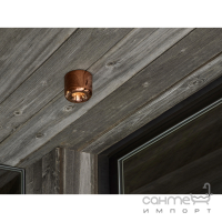Круглый потолочный светильник Friendlylight Kaldera L LED 10W 3000/4000/6000K FL2111 розовое золото