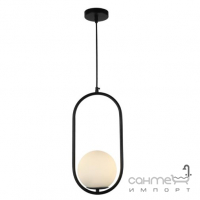 Подвесной светильник с круглым плафоном Friendlylight Hoop B Black FL3025 черный/белое стекло