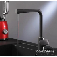Змішувач для кухні з виливом для фільтрованої води AM.PM Like F8005722 чорний