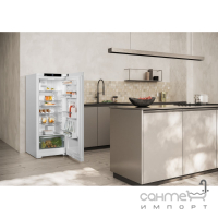 Однокамерний холодильник Liebherr Rd 4600 білий