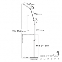 Торшер Goldlux Ferrara LED 13W 3000K-6000K 325006 чорний