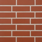 Оценка: 0 (0 голосов) Плитка фасадна 240х71х10 Stroeher Euramic Facade Tiles 2110 N361 natur rot (червона)